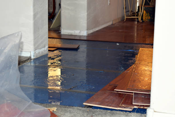 Professional Basement Flooding technician working in Worcester, MA